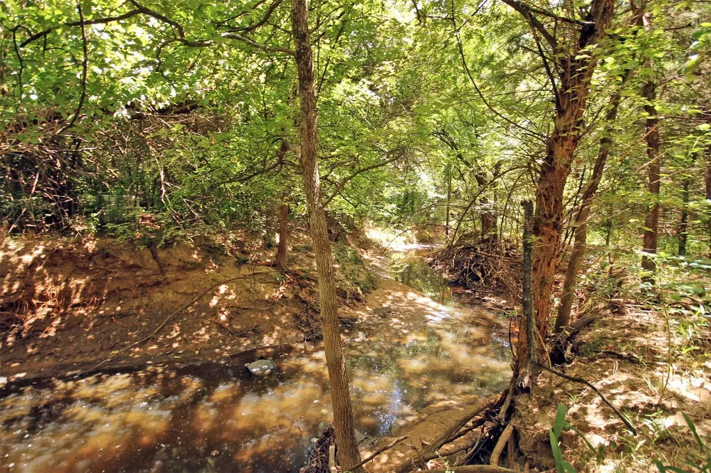 10 County Road 2263 Valley View TX 76272