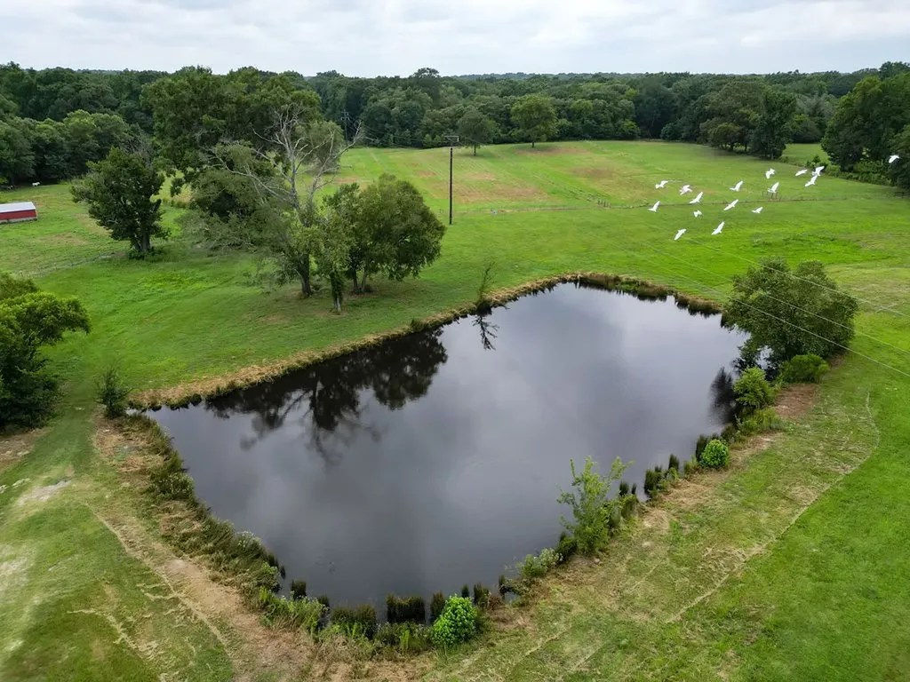 1509 County Road 3170 Quitman TX 75783