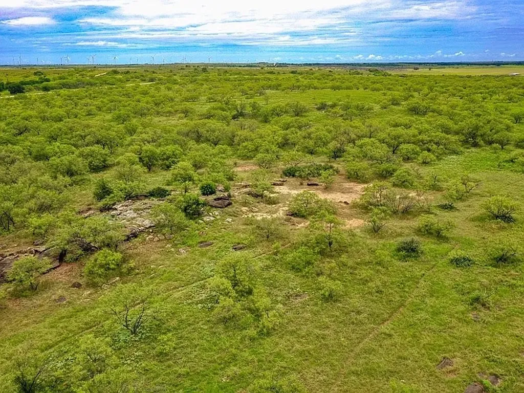 Tbd Fm 175 Jacksboro TX 76365