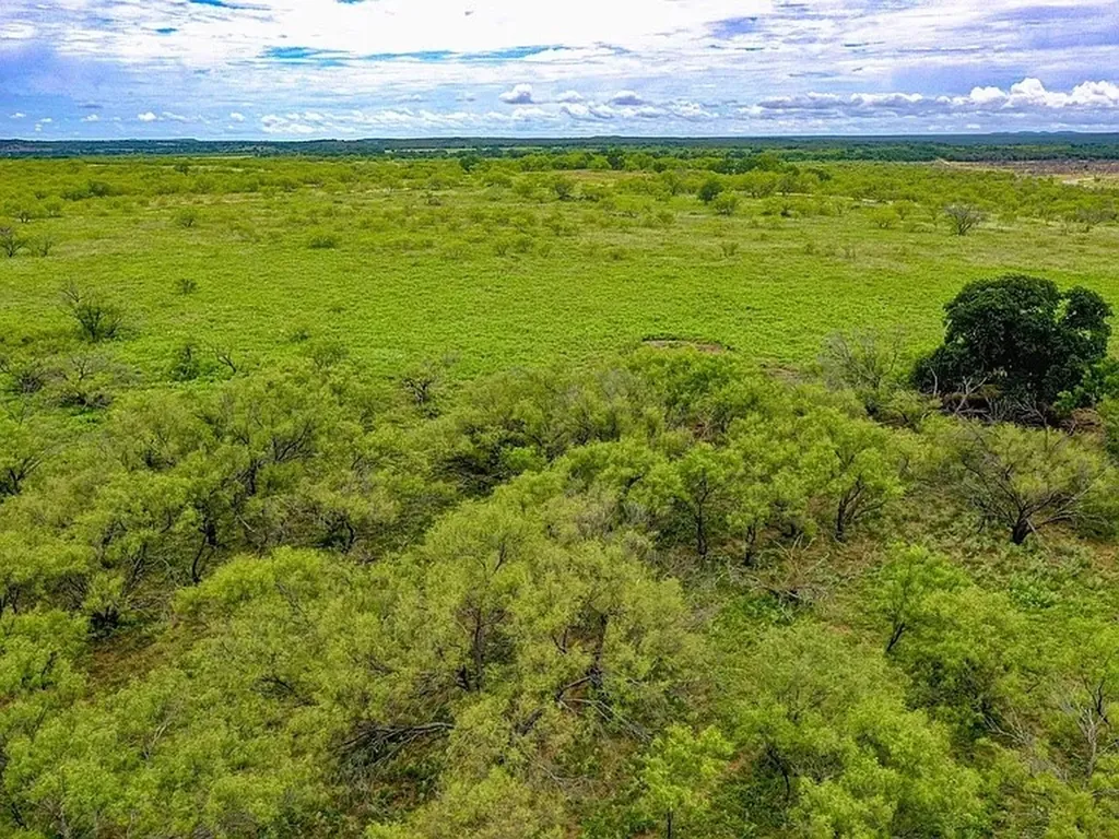 Tbd Fm 175 Jacksboro TX 76365