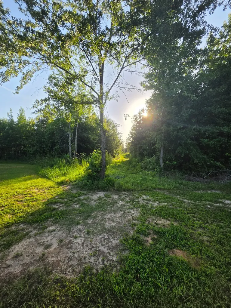 318 Pace Road Dubberly LA 71024