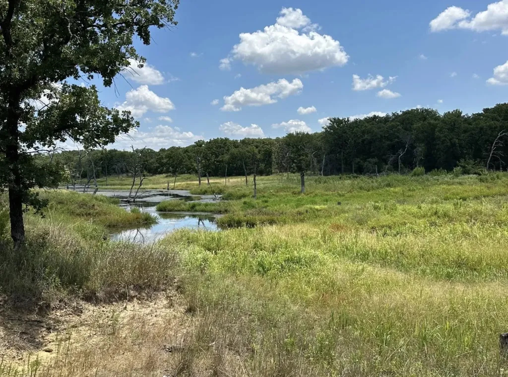 118 Elm Cove Sunset TX 76270