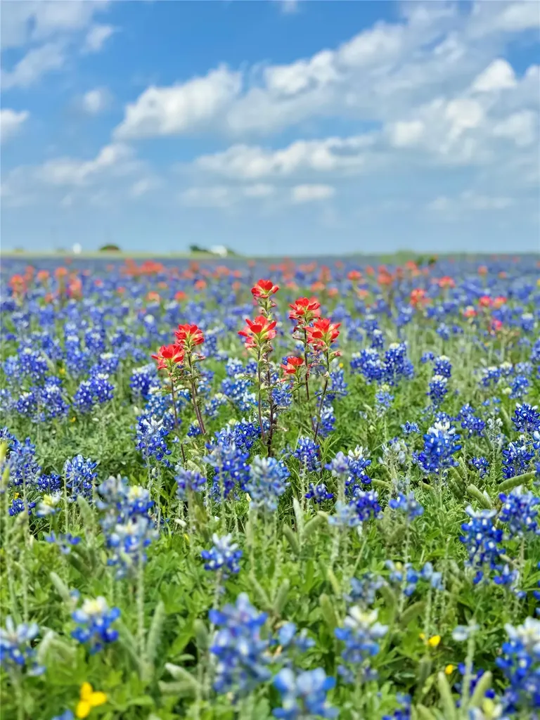 Lot 4 Fm-879 Ennis TX 75152