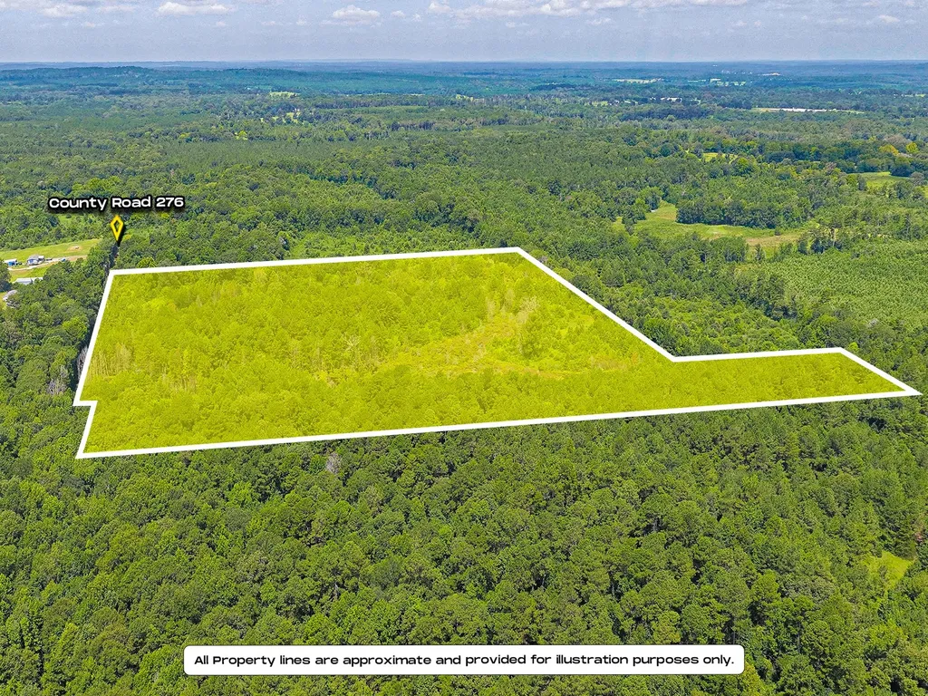 Tbd County Road 276 Nacogdoches TX 75961