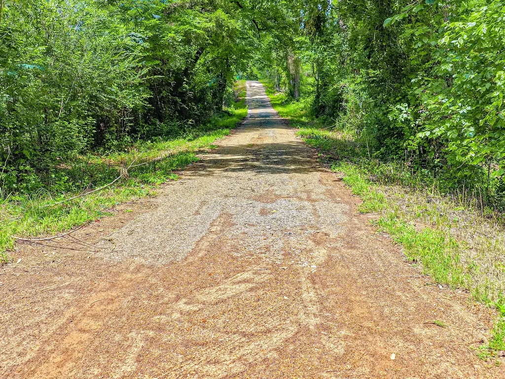 Tbd County Road 276 Nacogdoches TX 75961