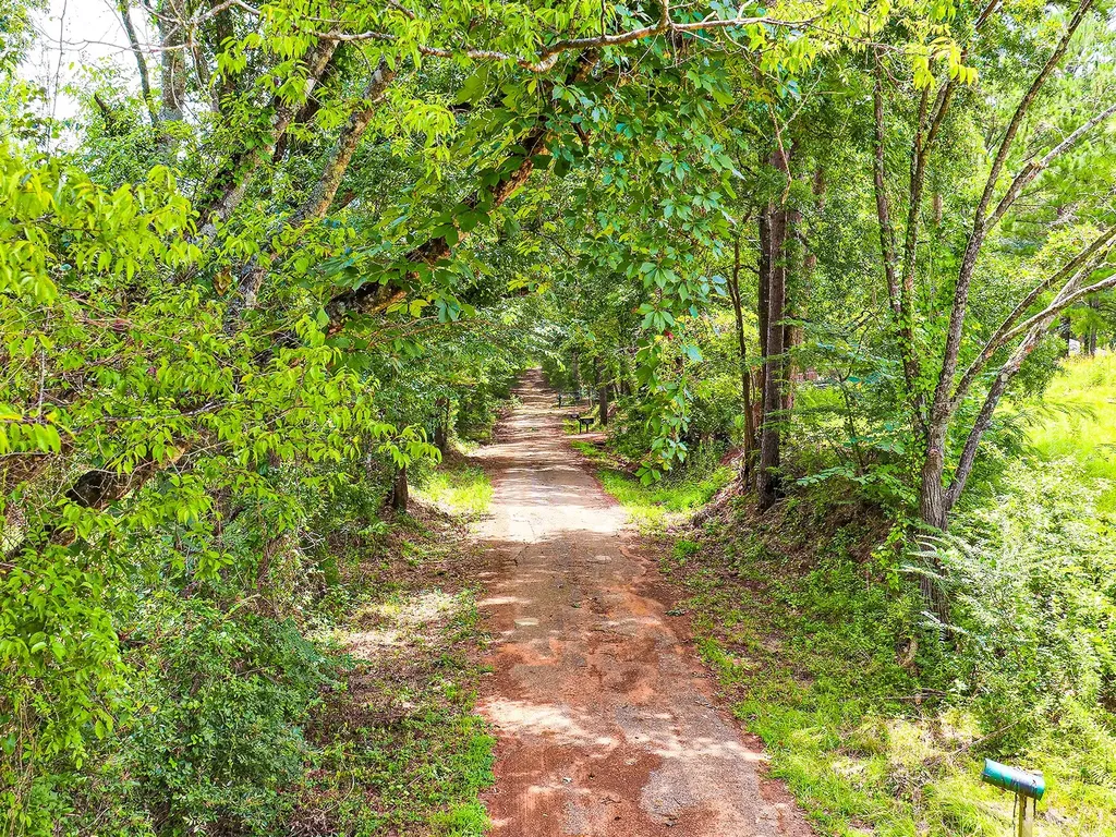 Tbd County Road 276 Nacogdoches TX 75961