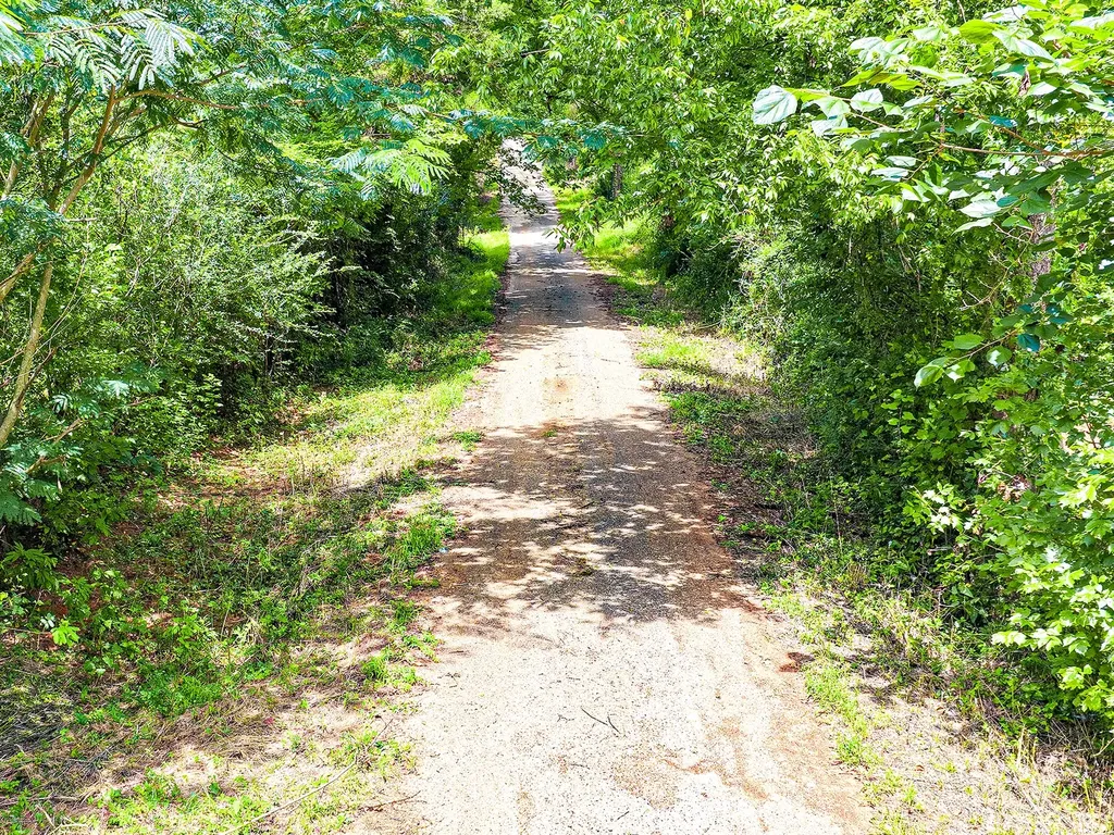 Tbd County Road 276 Nacogdoches TX 75961