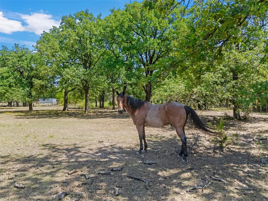 1047 Fort Hill Road Waco TX 76705