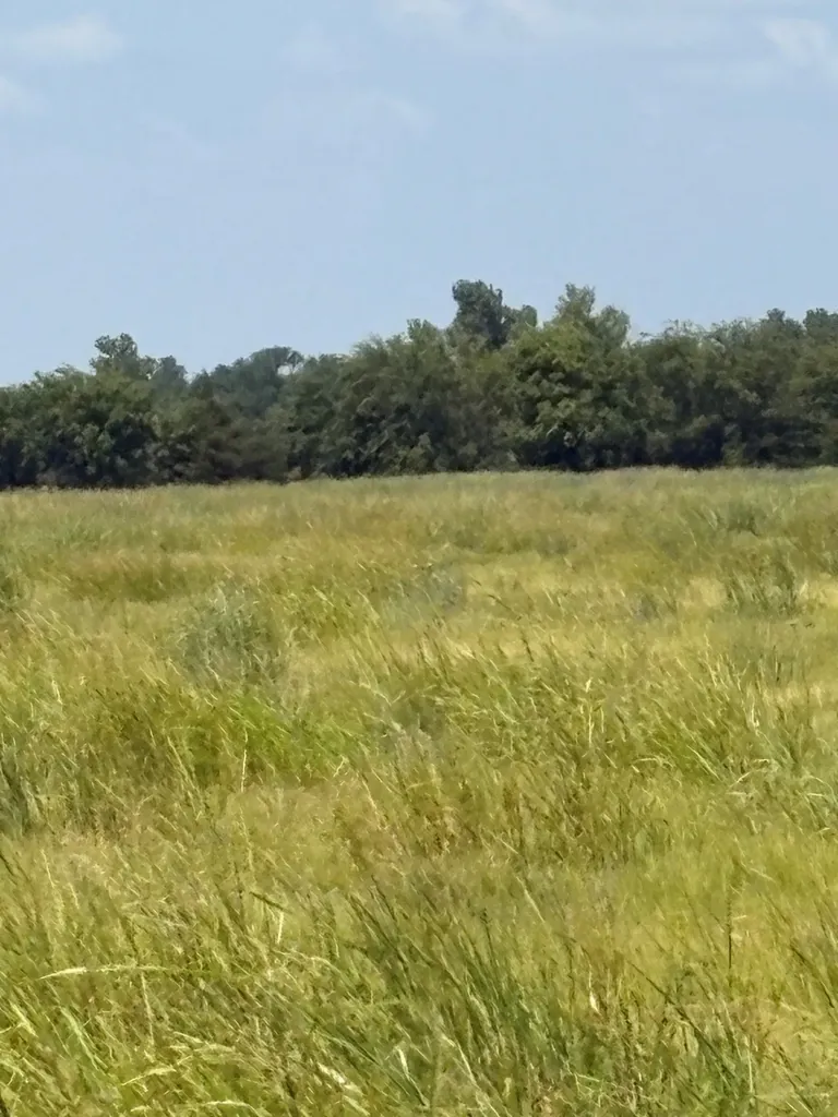 Tbd County Road 3020 Bonham TX 75418