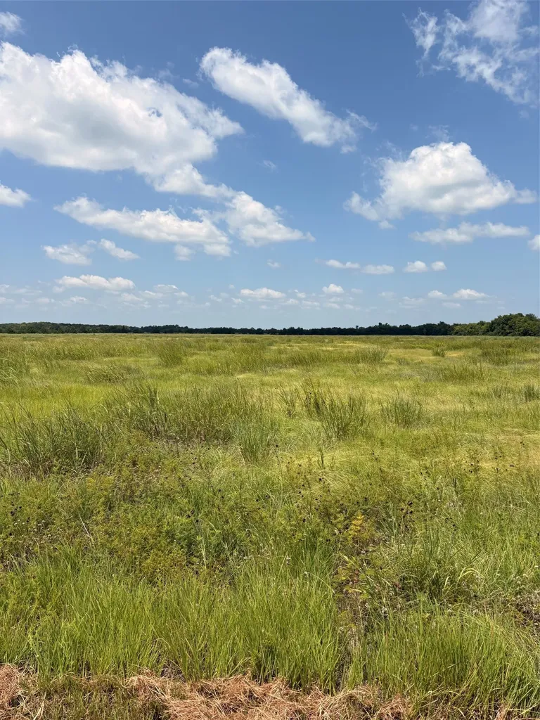 Tbd County Road 3020 Bonham TX 75418