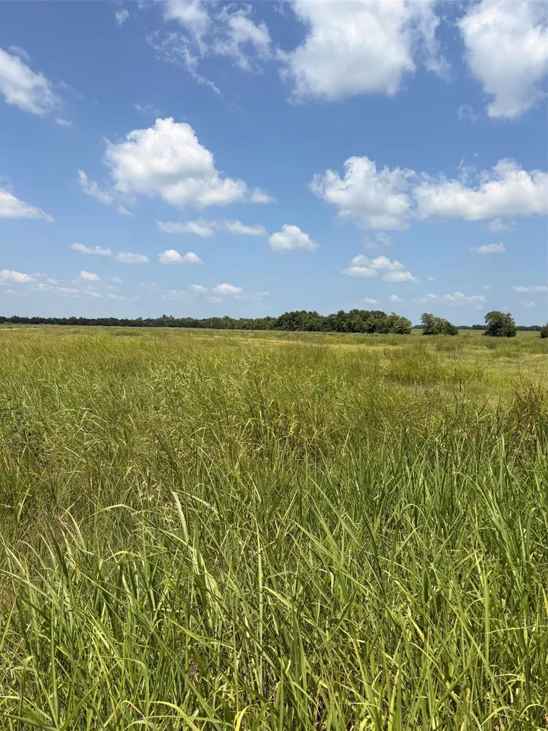 Tbd County Road 3020 Bonham TX 75418