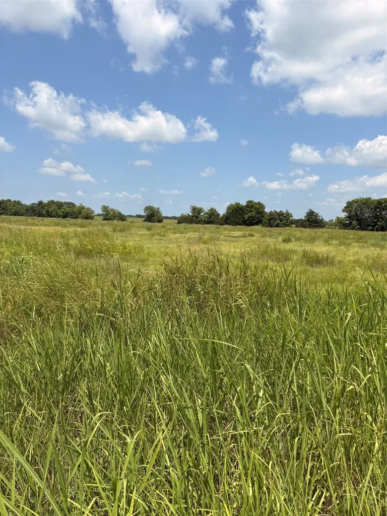 Tbd County Road 3020 Bonham TX 75418