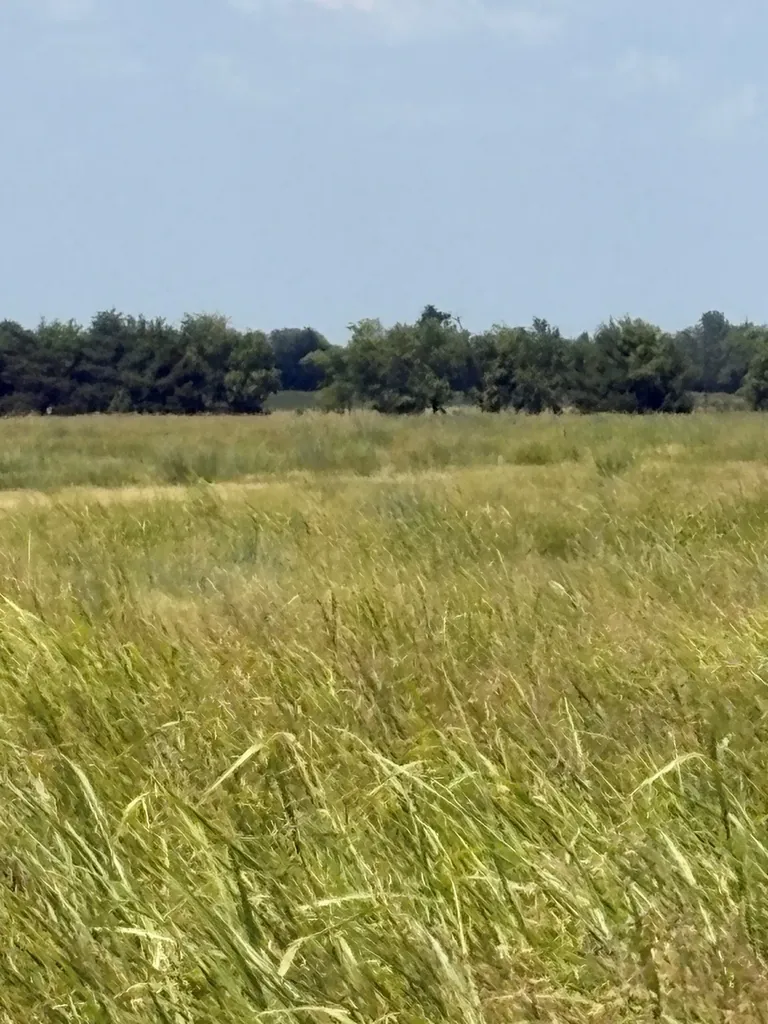 Tbd County Road 3020 Bonham TX 75418
