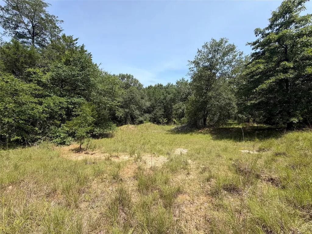 0 Tbd Hare Lane Greenville TX 75402
