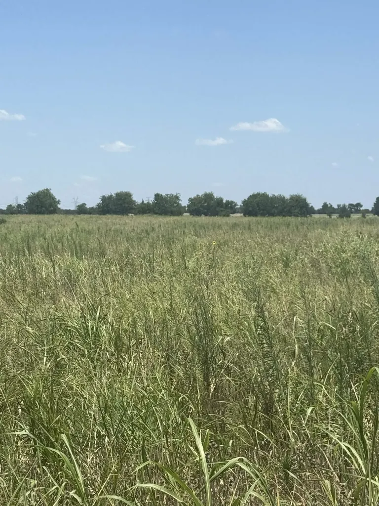 1262 Cr 134 E Burlington TX 76519