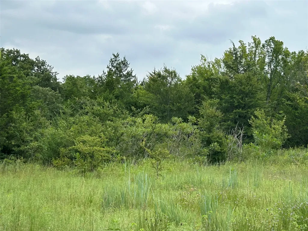 Tbd Cr 178 Gainesville TX 76240