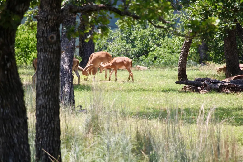 Tbd Stagecoach Trail Gordon TX 76453