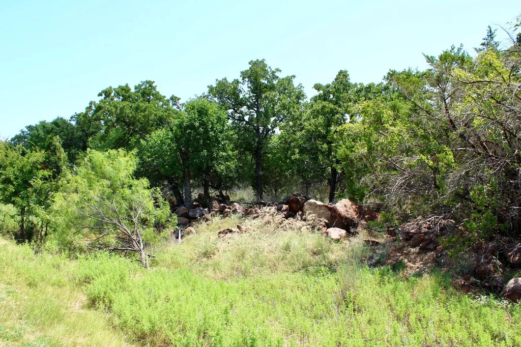 Tbd Stagecoach Trail Gordon TX 76453