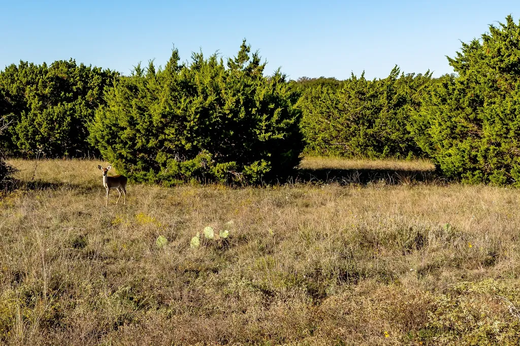 Ranch 28, County Road 208 Hico TX 76457