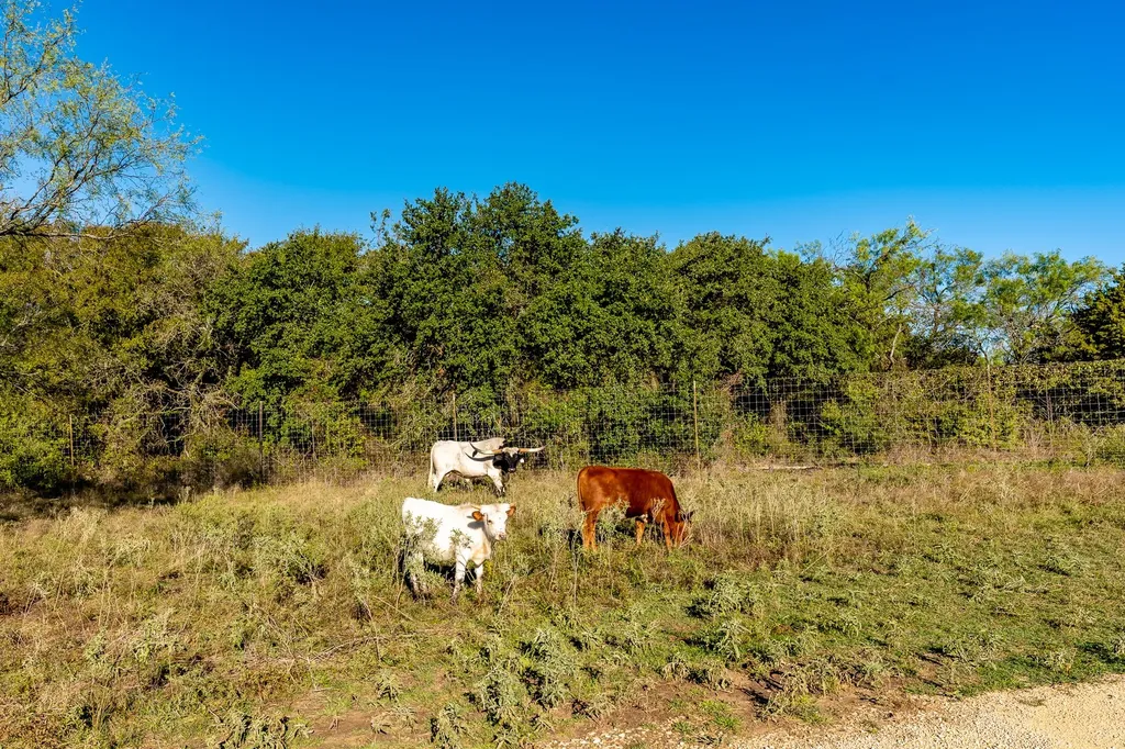 Ranch 28, County Road 208 Hico TX 76457
