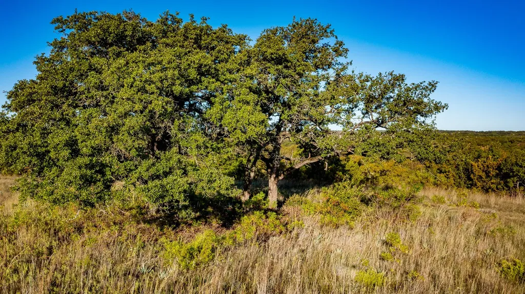 Ranch 28, County Road 208 Hico TX 76457