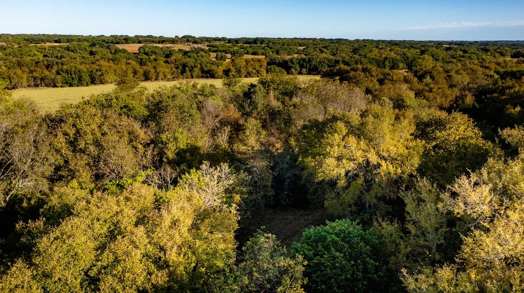 Ranch 28, County Road 208 Hico TX 76457