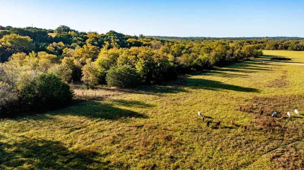 Ranch 28, County Road 208 Hico TX 76457
