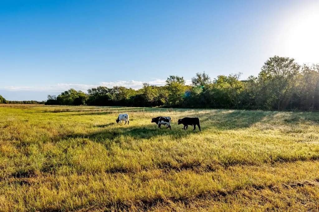 Ranch 28, County Road 208 Hico TX 76457