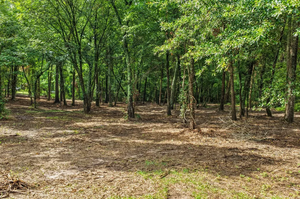 133 Sandy Lake Scroggins TX 75480