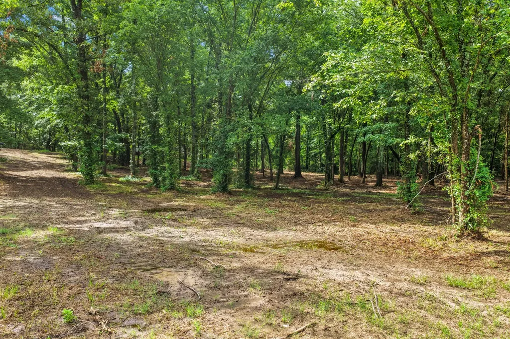 133 Sandy Lake Scroggins TX 75480