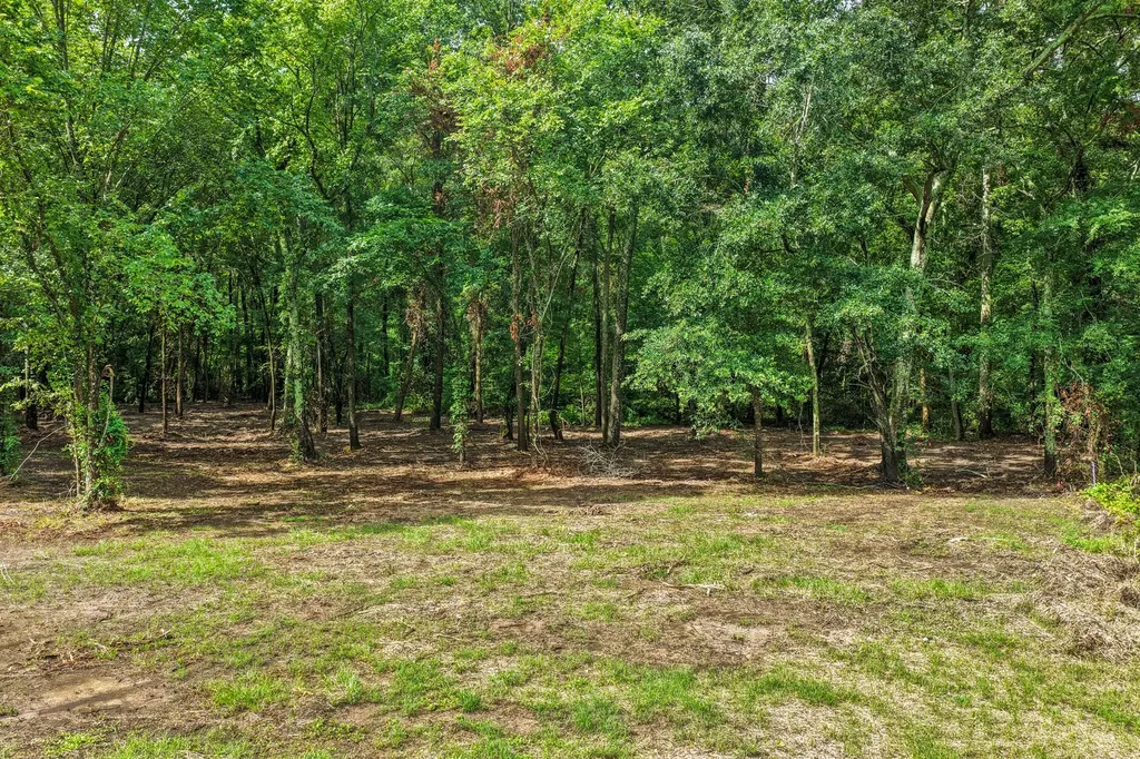 133 Sandy Lake Scroggins TX 75480