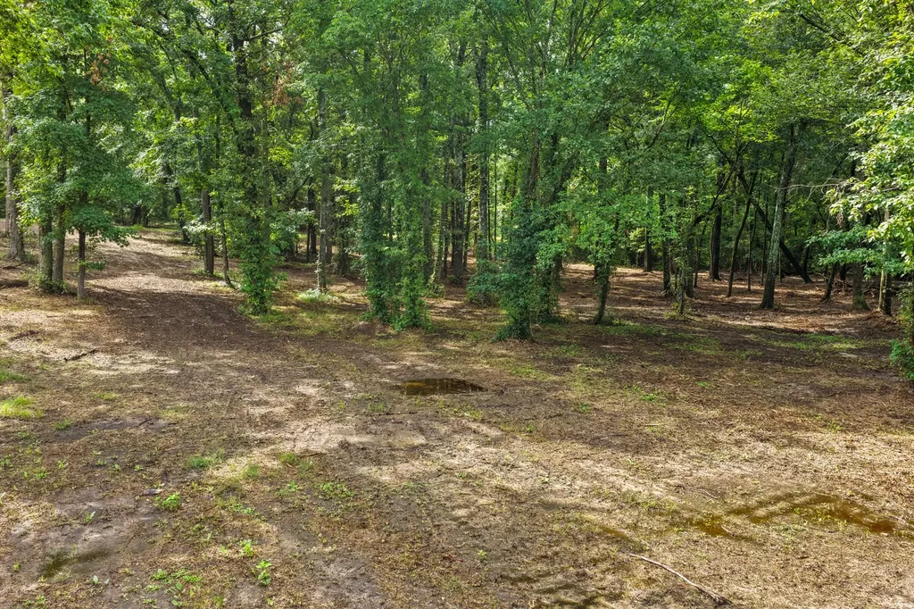 133 Sandy Lake Scroggins TX 75480
