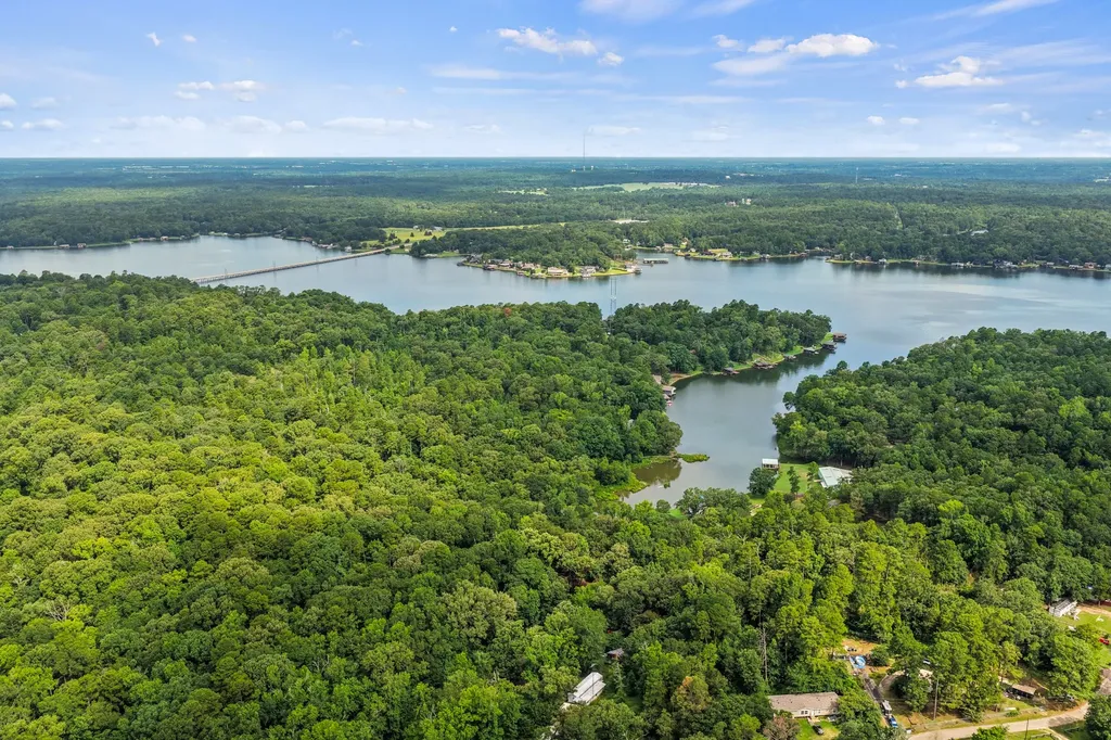 133 Sandy Lake Scroggins TX 75480