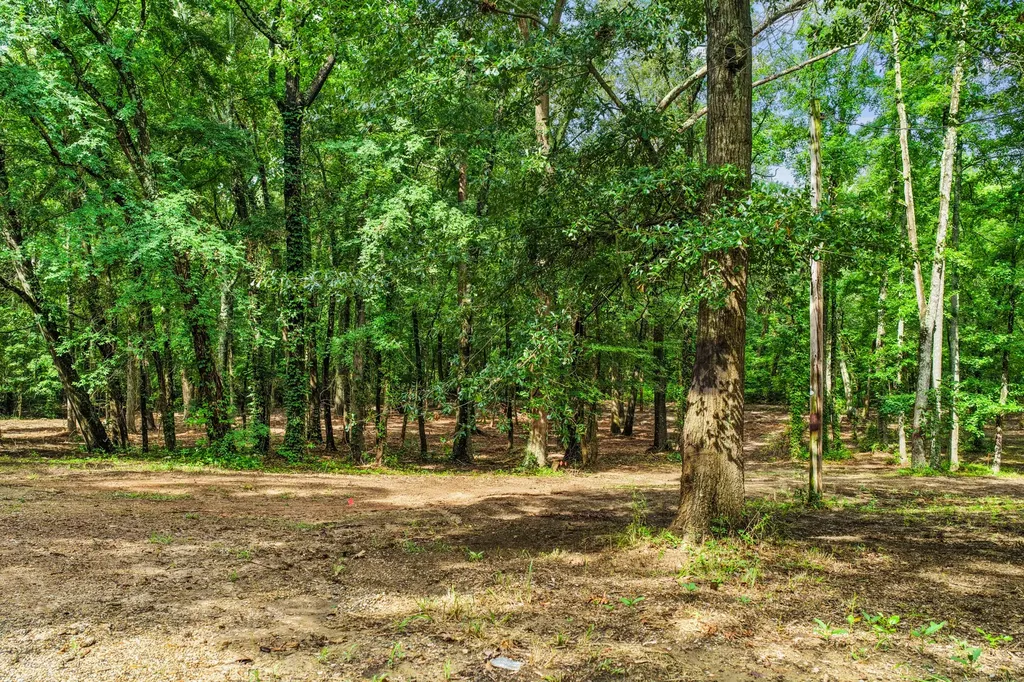 133 Sandy Lake Scroggins TX 75480