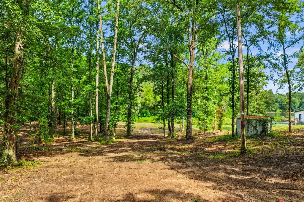 133 Sandy Lake Scroggins TX 75480