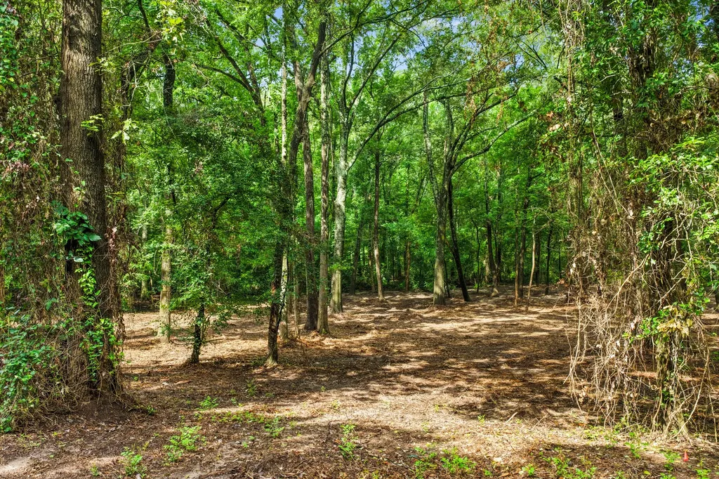 133 Sandy Lake Scroggins TX 75480