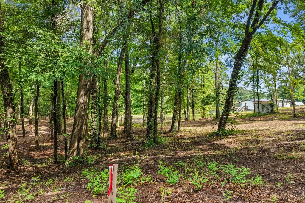 133 Sandy Lake Scroggins TX 75480