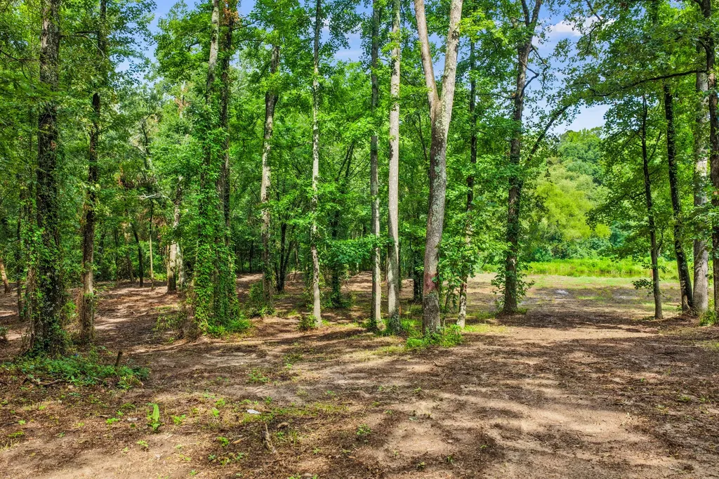 133 Sandy Lake Scroggins TX 75480