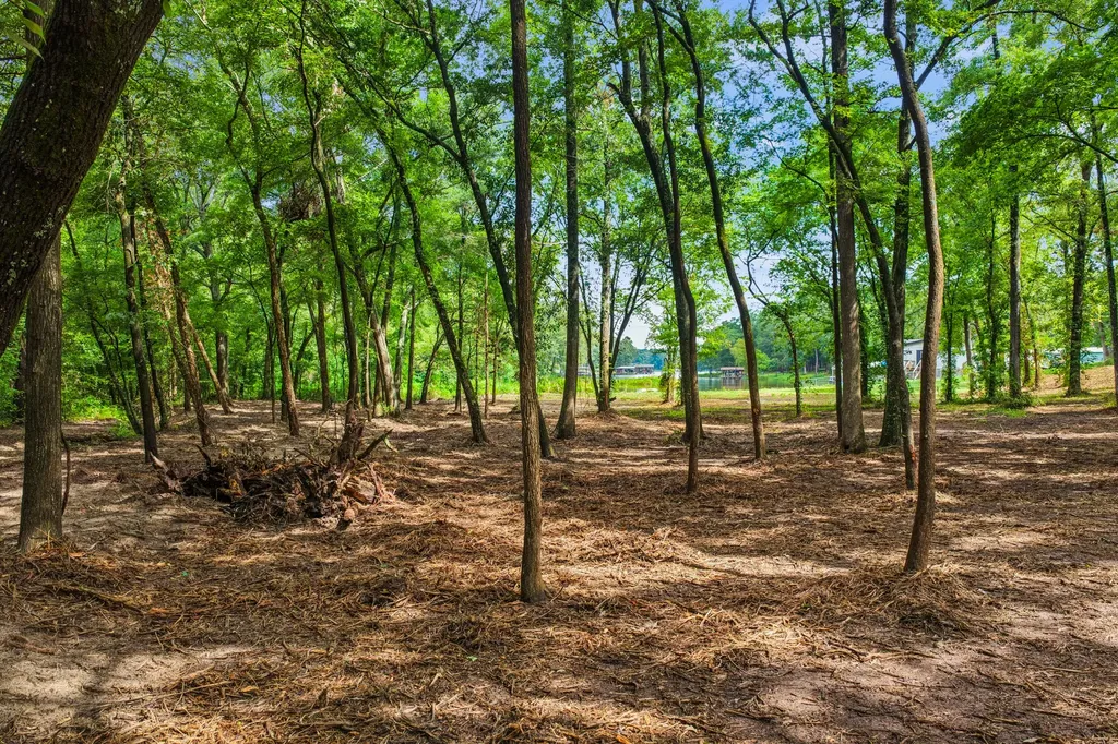 133 Sandy Lake Scroggins TX 75480