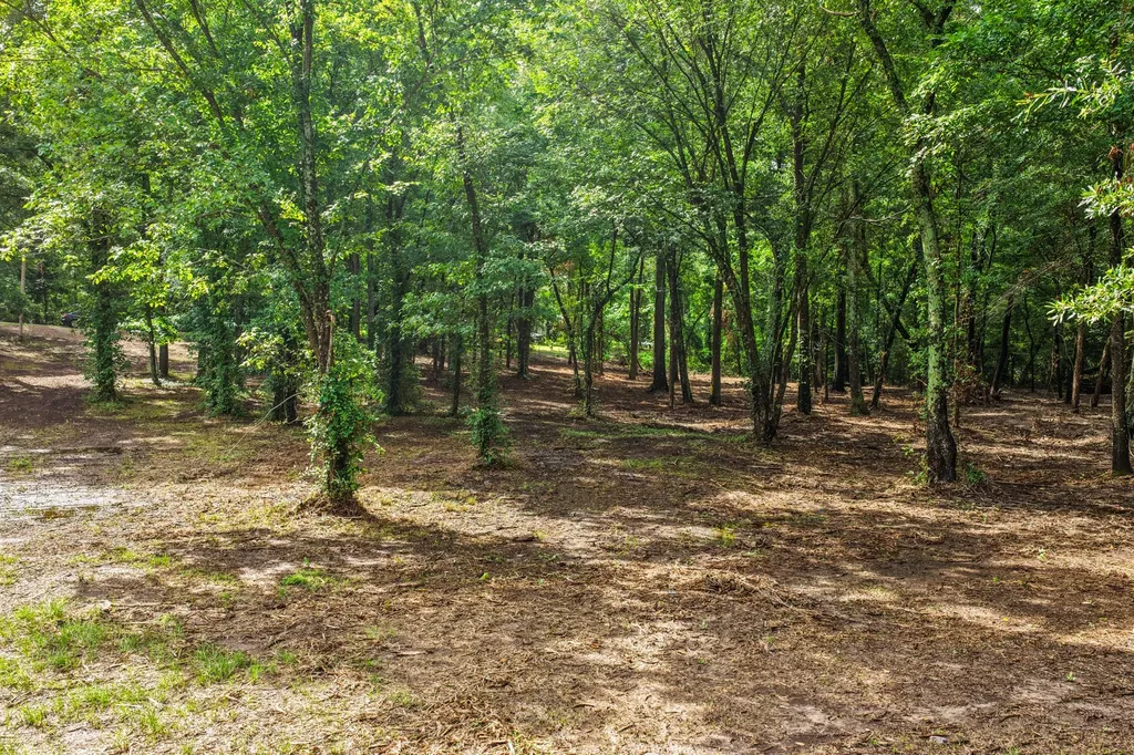 133 Sandy Lake Scroggins TX 75480