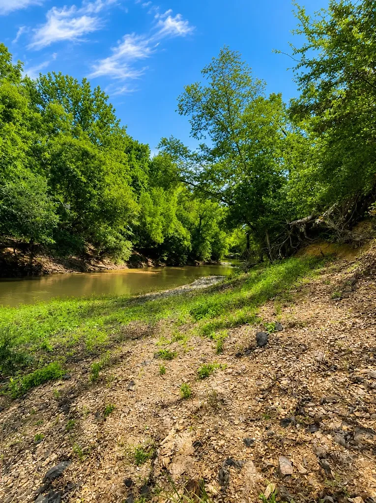 Tbd W Highway 80 Mineola TX 75773