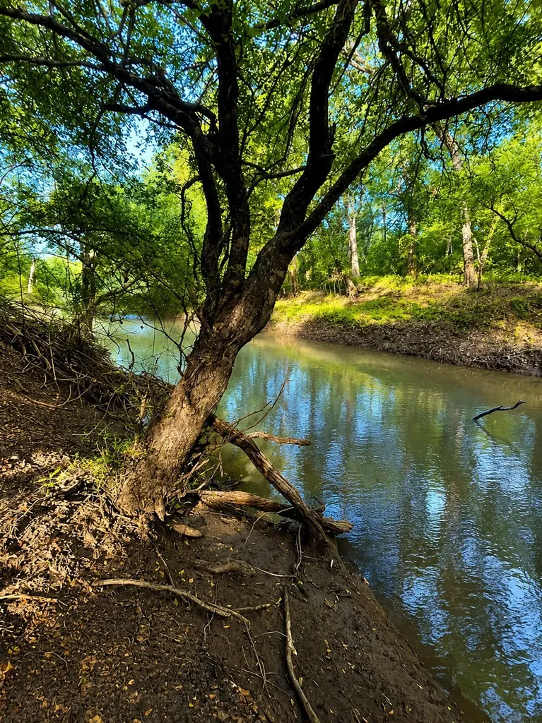 Tbd W Highway 80 Mineola TX 75773