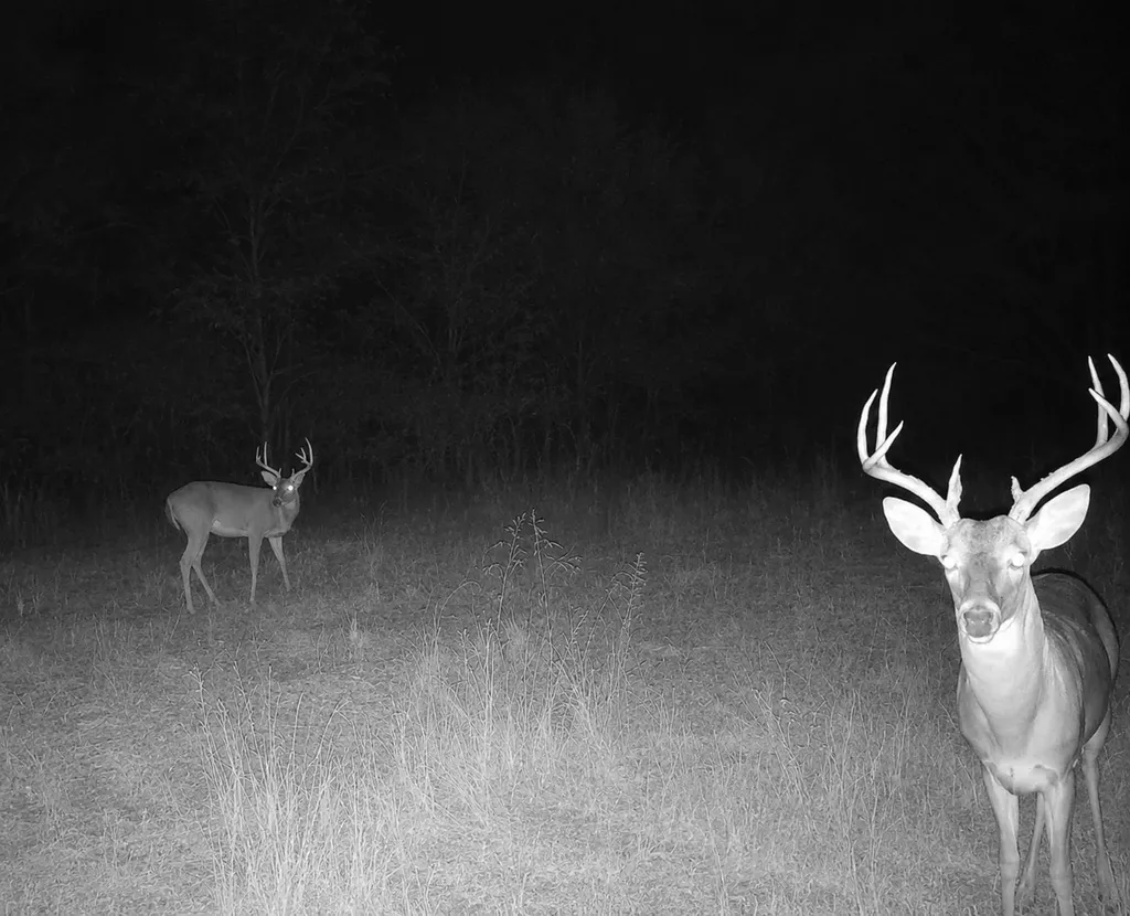 Tbd W Highway 80 Mineola TX 75773