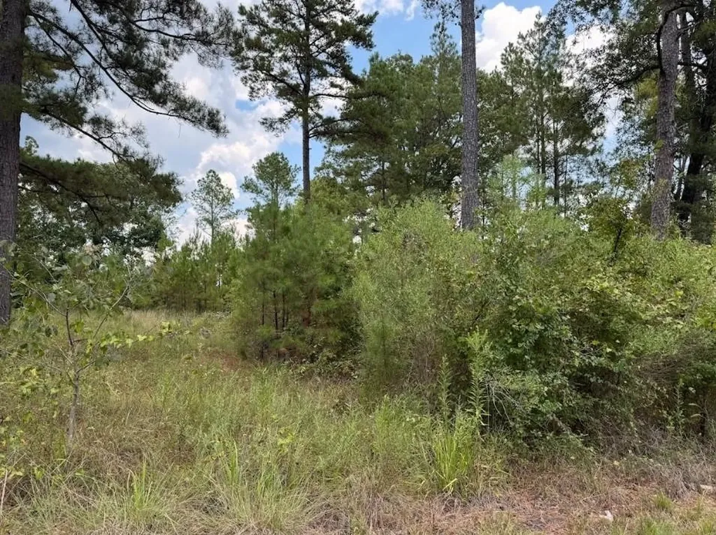 0 Highway 157 Benton LA 71006