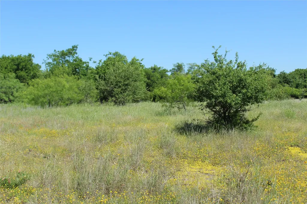 Tbd N Hwy 36 Bypass Gatesville TX 76528