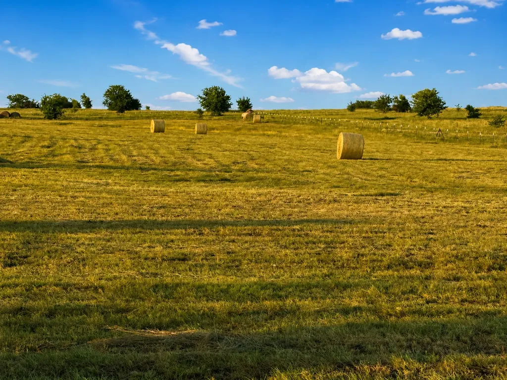 Tbd County Road 2625 Decatur TX 76234