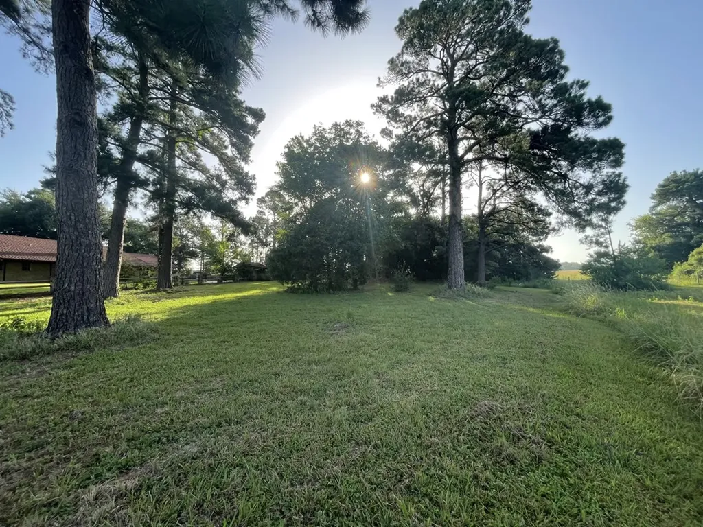 7470 Fm 317 Athens TX 75752