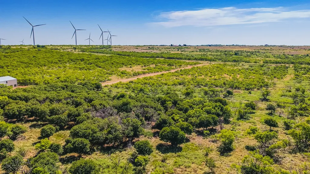 372 Buffalo Crest Trail Henrietta TX 77575