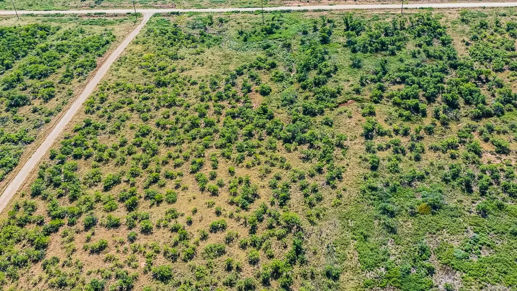 372 Buffalo Crest Trail Henrietta TX 77575
