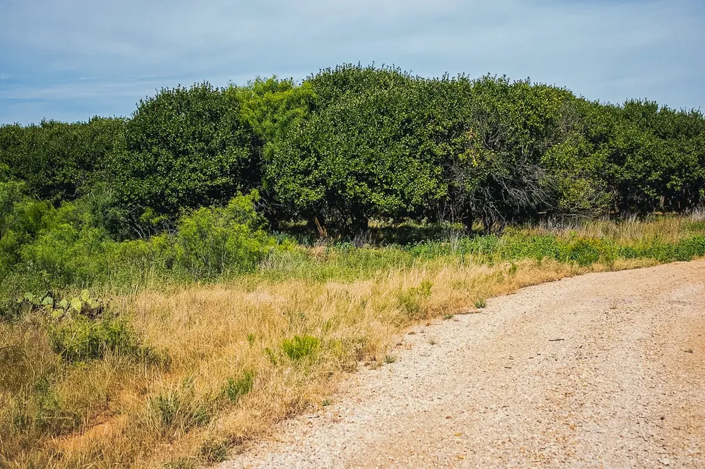 372 Buffalo Crest Trail Henrietta TX 77575
